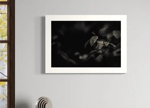 Patrik Lienhart, Raindrops (Photo Fine Art)