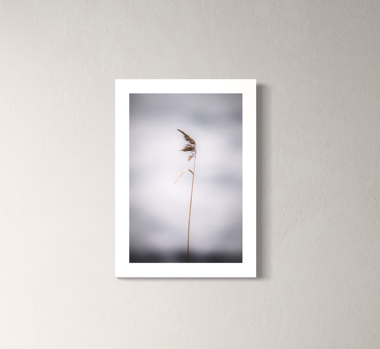 Patrik Lienhart, The Reed In The Storm (Photo Fine Art)