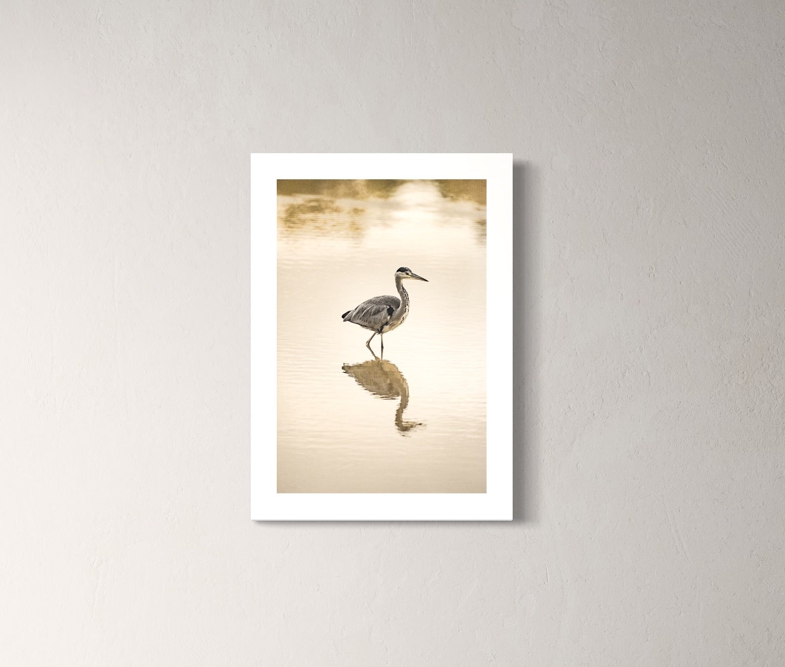 Patrik Lienhart, Heron (Photo Fine Art)