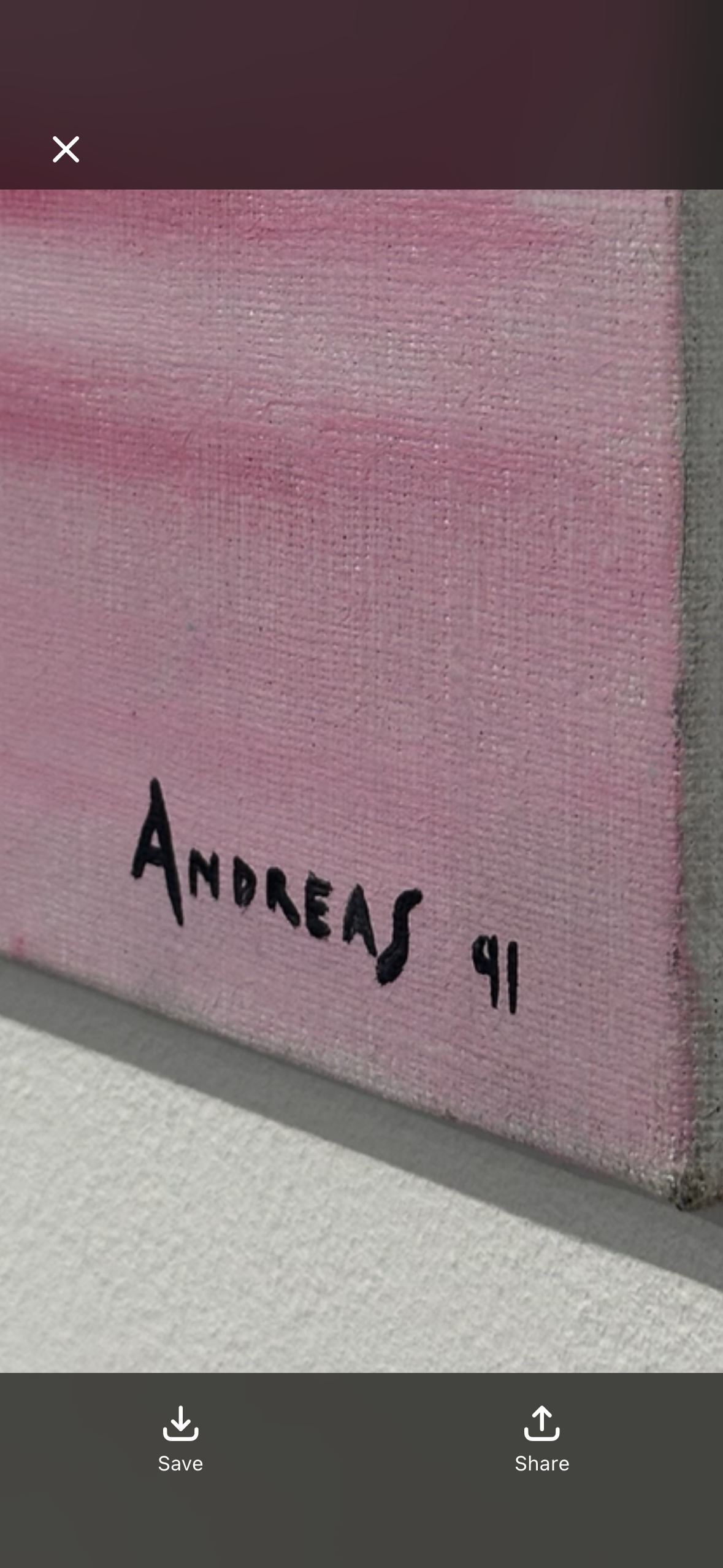 Andreas Henriksson, She is pink (Original)
