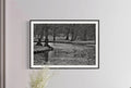 Patrik Lienhart, (Art nr #072) Drottningholm (Foto Fine Art)