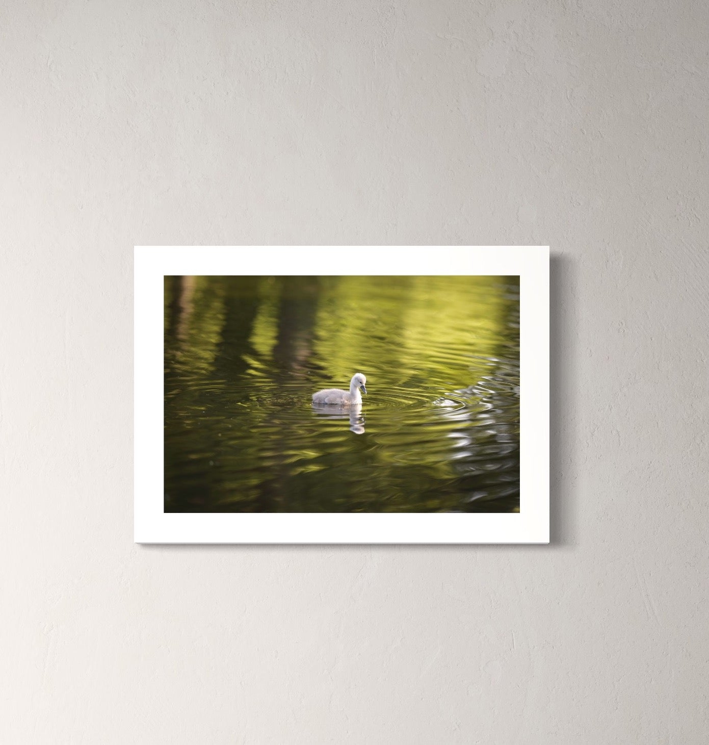 Patrik Lienhart, The little one (Photo Fine Art)