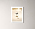 Patrik Lienhart, Heron (Fotokonst)