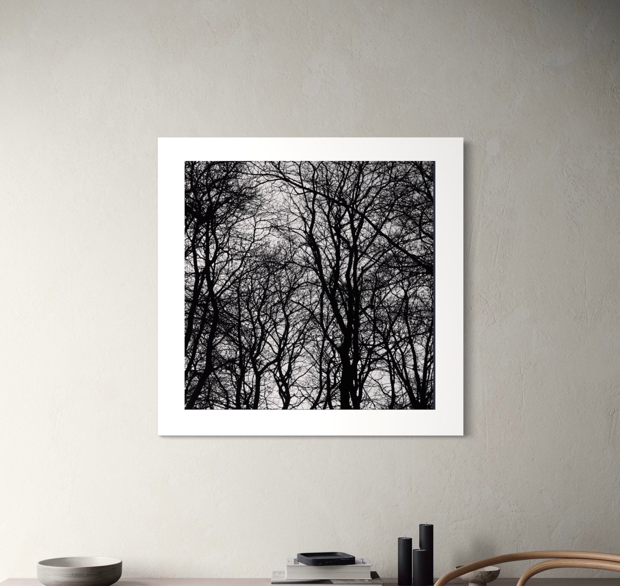 Patrik Lienhart, (Art no. #075)Dark Forest (Photo Fine Art)