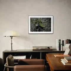Patrik Lienhart, Lion With Flowing Hair (Big Photo Fine Art)