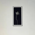 Patrik Lienhart, Mohn (Foto Fine Art)